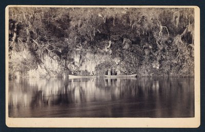 [Under klipperne ved Withlacoochee-floden, Florida] af Unidentified