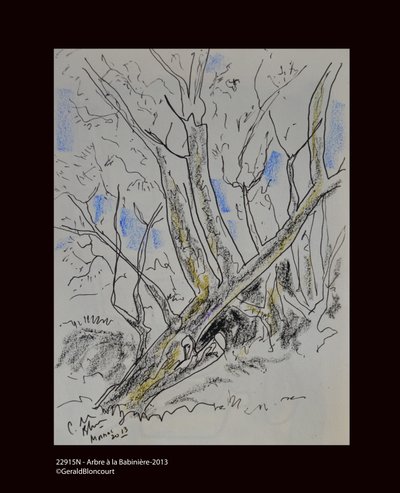 22915N - Tree a Babiniere-2013 af Unknown