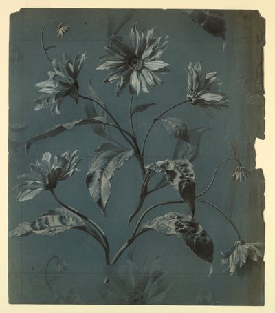 Design til tapet eller tekstil af Daisy-Type Flower med Repeat af Unknown
