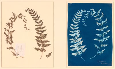 Fra Hatton Fern Album af Unknown