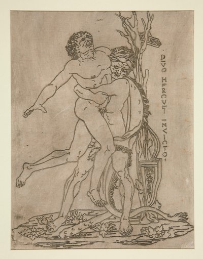 Hercules og Antaeus af Unknown