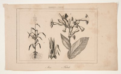 Uden titel (Study of American Agriculture) af Unknown