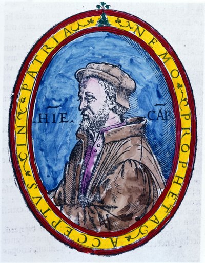 (Cardanus Hieronymus) Jerome Cardan på italiensk Gerolamo Cardano, italiensk læge, matematiker, filosof og astrolog (Pavia af Unknown artist