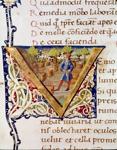 En biavler og hans bistader (miniature af Unknown artist