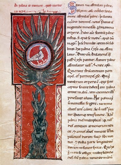 En due, der laver sin rede i et palmetræ (miniature af Unknown artist