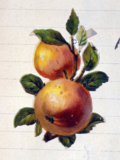 En fersken af Unknown artist