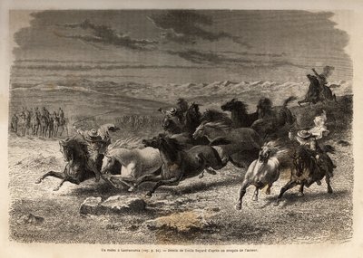En rodeo i Lauramarca (Nedre Peru), fangst af vilde heste, før deres jernmærkning med initialerne af ejeren af regionen, betragtet som et komplet skue, samledes mange badauds. Gravering til illustration af rejsen i Quinquins dale af Unknown artist