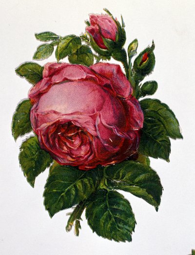 Opstod af Unknown artist