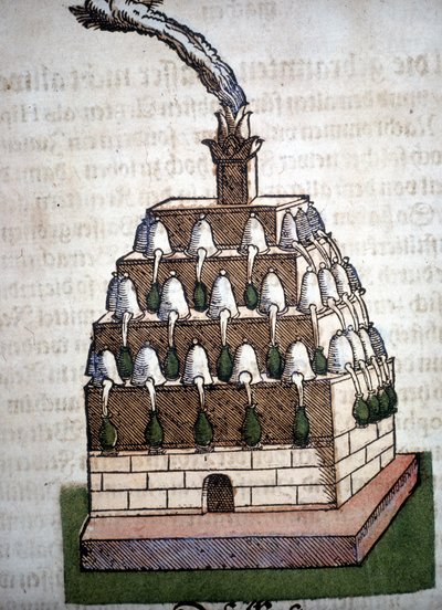 Alchemy: the Athanor Four fra en bog af Pietro Andrea Mattioli (Matthiole) (1500-1577). Frankfurt af Unknown artist