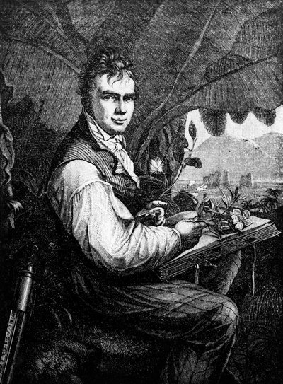 Alexander Von Humboldt (Alexander de Humboldt af Unknown artist