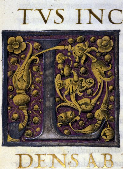 Alfabet: lille bogstav L af Unknown artist