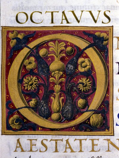 Alfabet: miniaturet bogstav O af Unknown artist