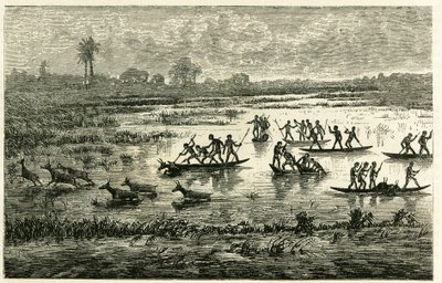 Antilopejagt, årlig jagt under træk, antiloper bremset i flodvandet bliver slagtet af Marutse krigere, som forfølger dem i balance på kanoer. Gravering til illustration af historien "Au pays des Marutses", i 1875-1879, af Dr. Emile Hol af Unknown artist