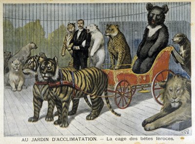 I akklimatiseringens have: de grusomme dyrs bur - i "" Le Petite Journal"" af 02/06/1895 af Unknown artist