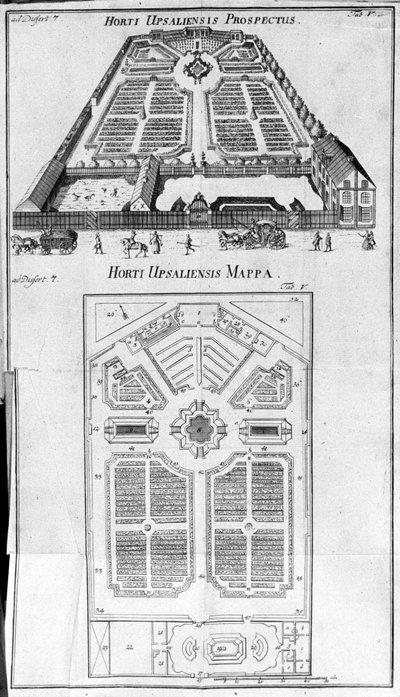 Botanisk Have - HORTI UPSALIENSIS prospektiv og plan. af Unknown artist