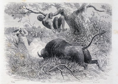 Kaptajn Speke jager bøfler - i "" Tour du Monde"" af Unknown artist
