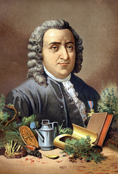 Carl Von Linné svensk naturforsker og forfatter (1707 - 1778) efter "Videnskaben og dens mænd" af Louis Figuier. Barcelona 1881 af Unknown artist
