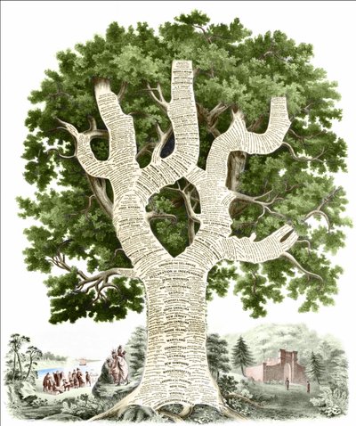 Kronologisk diagram over amerikansk historie dedikeret til befolkningen i USA af udgiveren. Stik v. 1881. af Unknown artist