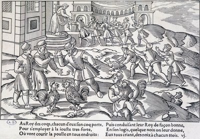 Hanekamp, XVI-XVII århundrede af Unknown artist