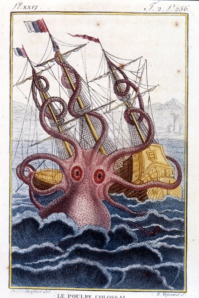 Kolossal blæksprutte (blæksprutte, kæmpe blæksprutte, kraken) angriber et skib (skib, skib) - indgravering af bogen af Pierre Denys-Montfort (Denys de Montfort 1766-1820) "" Histoire naturelle des mollusques", originaludgave af 1802) - af Unknown artist