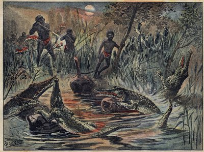 Krokodillejagt i Niger med et barn til madding. Illustration i "" Le Pelerin"" af 4. december af Unknown artist