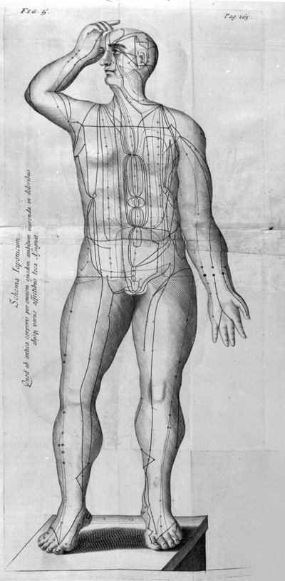 De Acupunctura af W.Ten Rhijn. London 1683. Første vestlige tekst, der omhandler akupunktur. af Unknown artist