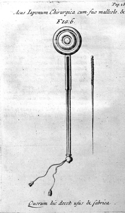 De Acupunctura af W.Ten Rhijn. London 1683. Første vestlige tekst, der omhandler akupunktur. af Unknown artist