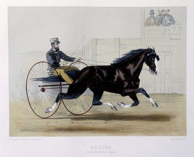 Dexter trotteur - i "" Kentauren"" af Unknown artist