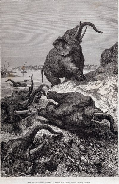 Elefanter, der klatrer på bredden af en flod, på grund af en ekspedition til Centralafrika bestilt af Sir Samuel White Baker, "Tour du monde" af Unknown artist