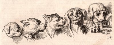 Evolution af en hund til en menneskelig form af Unknown