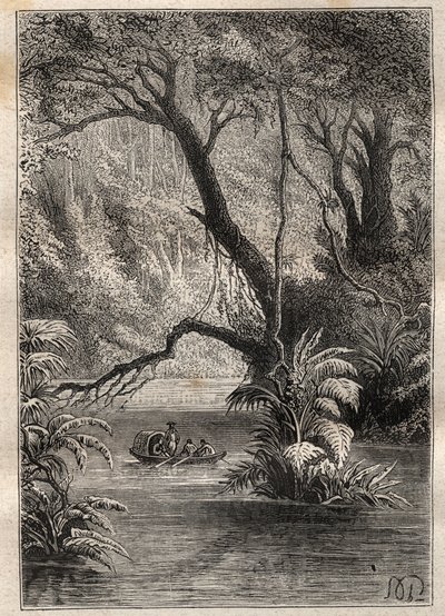 Ekspedition til Amerika (1799-1804) af Alexander von Humboldt (1769-1859) og Aime Bonpland (1773-1858): opdagelsesrejsende går ned i Orenoque, omgivet af de gigantiske træer i Amazonas-skoven (Cano Pimichin, Venezuela) - illustration taget fra "The Great af Unknown artist