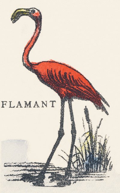 F: flamingo af Unknown artist