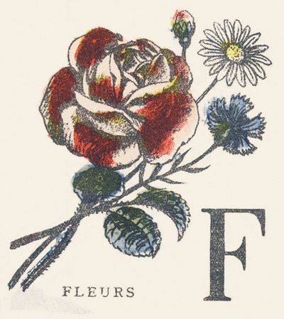 F: blomster af Unknown artist