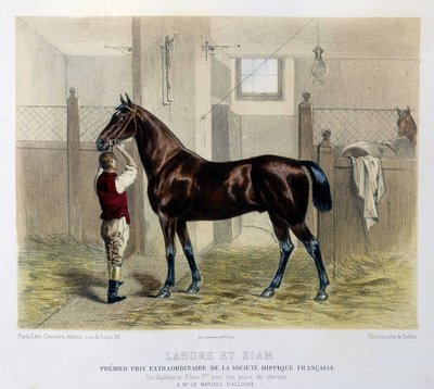 Berømte væddeløbsheste i ""Kentauren"" 1866 af Unknown artist