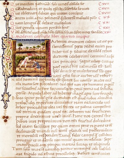 Landmænd, der planter vinmarker (miniature af Unknown artist