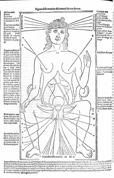 Kvindelige reproduktionsapparater - i Treatise of Medicine af Gerolamo Cardano (Cardano) (Cardanus Hieronymus), Firenze 1585. af Unknown artist