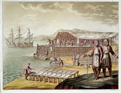 Fiskeri og tørring af torsk i Newfoundland. (Gravering af Unknown artist