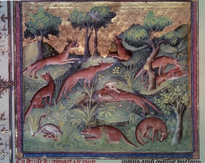 Rævejagt fjerkræ. Miniature fra manuskriptet "" Le livre de la chasse"" (folio 34v) af Gaston Phoebus (1331-1391) dit Gaston III Comte De Foix af Unknown artist