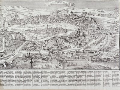 Generel udsigt over byen Wien med detaljer om de vigtigste bygninger og monumenter. Østrigs gravering fra 1800 privatsamling af Unknown artist