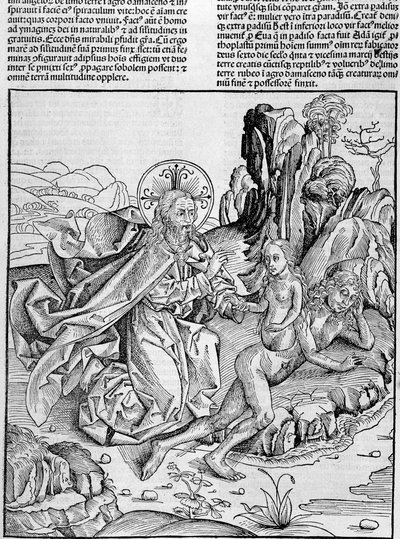Gud føder Eva fra Adams lår - i "" Nürnberg Chronicles"" af Unknown artist