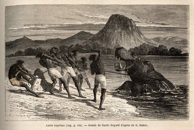 Flodhestejagt med Houarti-stammen, med harpuner og spyd, de rasende dyr laster og gør modstand. Gravering til illustration af udforskningen af Nilens abessinske bifloder, af Sir Samuel W. Baker, i 1861-62, udgivet i "" Le tour du monde"" 1 af Unknown artist
