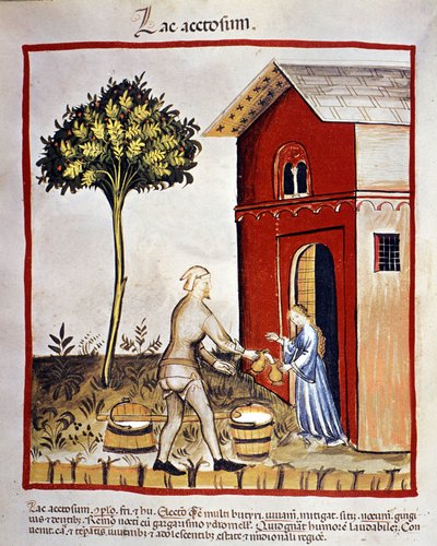 Mejeriprodukters historie: distribution af yoghurt (acetosium sø). Belysning fra "Tacuinum sanitatis" af Unknown artist