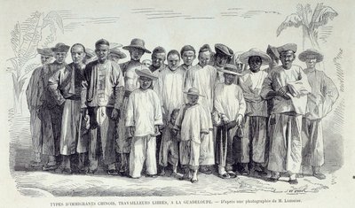 De franske koloniers historie: Kinesiske immigranter, der arbejder i Guadeloupe. Tegning efter fotografi af det sene 19. århundrede Chartres musee des Beaux Arts af Unknown artist