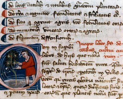 Havebrug: høst af frugter. Detalje. Manuskriptside (MS.s.vi) "" Agrarian Treat "" af Pietro de Crescenzi (Crescent Stone eller Crescens Stone) (1233-1320) 14. århundrede Cesena, Biblioteca Malatestiana af Unknown artist