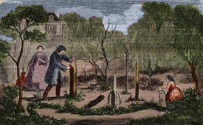 Havebrug: vigtigste metoder til plantetransplantation. 1860 gravering. af Unknown artist