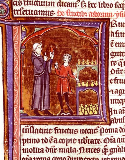 Sådan opbevarer du pærer Miniature fra manuskriptet "Speculum historiale"" (Le Mirror historial) af Vincent de Beauvais (1184/94-1264) Laon fra det 13. århundrede, kommunalt bibliotek af Unknown artist