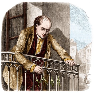 Illustration af eksperimenter af Luigi Galvani, italiensk fysiker og læge (1737 - 1798) med frøer. af Unknown artist