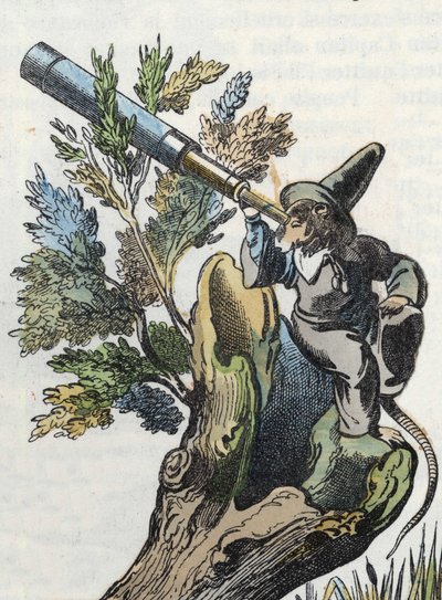 Illustration af fortællingen "Den frygtelige Raminagrobis og musene""" tegner fabler af Jean de la Fontaine. I “”Fortællinger fra hjemmet for de mindste””. Anonym gravering af det 19. århundrede. af Unknown artist