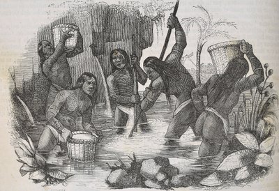 Indianere fra øen Hispaniola panorerer efter guld af Unknown artist
