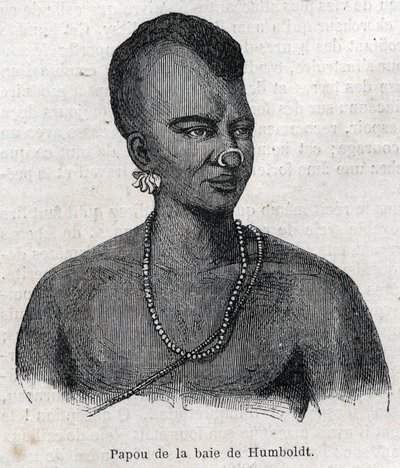 Oprindelige folk i New Guinee (New Guinee): Papua i Humboldt Bay. Gravering i "" L